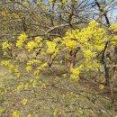 동원1리마을회관 이미지