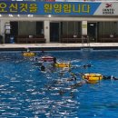 스쿠버월드 | 대구 프리다이빙 블루홀릭 프리다이빙 강습 체험 후기!