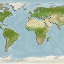 어류도감 이미지