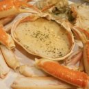 더 필드 이미지