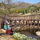 화명수목원 Daum카페