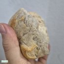 그린다이닝 | 수원 스타필드 흑백요리사2 천생연분 박가람 셰프 컨템포러리 다이닝 드레스덴 그린 후기