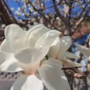 금오도별밤지기펜션 이미지