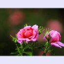 곡성-073 티스토리