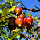 어울림공원 이미지