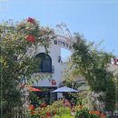 뜰안에 정원 이미지