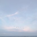 바다랑파도랑 이미지