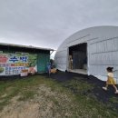 광주 근교 아기랑 이색 체험 애플수박 수확 준호네 자연농장 내돈내산 후기