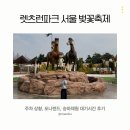 포니랜드 | 렛츠런파크 서울 벚꽃축제｜주차 상황, 포니랜드, 승마체험 대기시간 후기