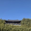 죽녹원 | 담양 죽녹원 방문 후기 | 부모님 모시고 가기 좋은 여행 코스