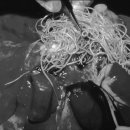 국제동물병원 이미지