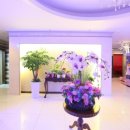 영일대노래연습장 이미지