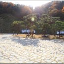 불정자연휴양림캠핑장 이미지