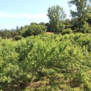 창대농장 이미지