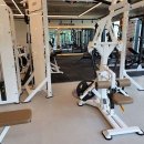 브라운 짐 이미지