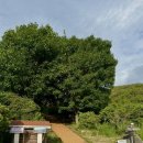 황매약수터 이미지