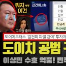 김건희 주가조작 공범 구속 영장 이미지