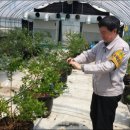 모화하우스 이미지