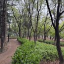 명달근린공원 이미지