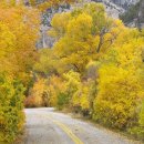 온새미로 이미지