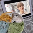 사진첩을 따라서_8월(1주)