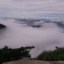 면천중학교 이미지