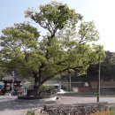 화촌마을회관 이미지