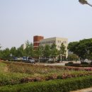 금락1리 티스토리