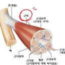 제이유필라테스 - 수원시 영통구 도청로18번길 26 | 제이유필라테스
