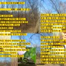 이*렬 이미지