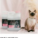 보노샌드 이미지