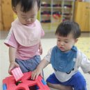 초롱어린이집 - 강남구 | 키우는 대구서구어린이집 찾는다면, 놀이와 탐구 가득한 비산동 달성공원 바로 옆 초롱어린이집 추천해요