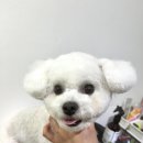 미용해·독 이미지