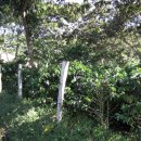 후안목장 이미지