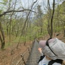 무릉도원면-39 | 국내 등산명소, 블랙야크 BAC 명산 100 (1)