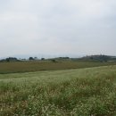 갈매기농장 이미지