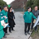 매화시장 이미지