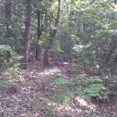 이종훈 가옥 이미지