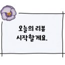 스테이유 풀빌라 펜션 이미지