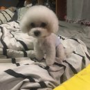 미니멍 살롱 이미지