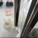 슈블리뷰티