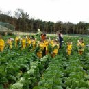 다애어린이집 이미지