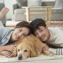 모코동물의료센터 이미지