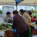 함박꽃웃음 붓꽃마을 이미지