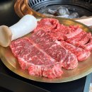 동탄프라자앞(공원) | 동탄 소고기 맛집 깔끔한 한우 룸식당 우테일러