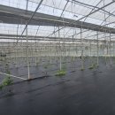 남진농장 이미지