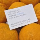 은선농장 이미지