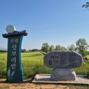 백일농장 | 고창 가볼만한곳 학원농장 청보리축제 후기 유채꽃은 덤입니다 폭삭 속았수다 촬영지