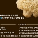 버섯생농장 네이버블로그