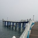 삼사 바다산책로 이미지